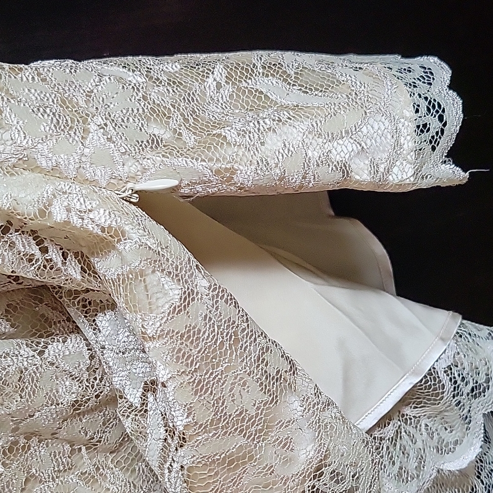 Gorgeous Ann Taylor Lace Silk Sleeveless Top - Sz. 00 - Beige - Picture 4 of 6